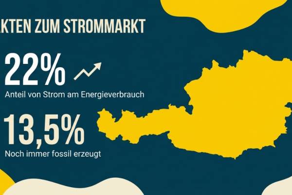 Grüner Strom für Österreich: Anbieter-Check und Wechsel-Guide 2026